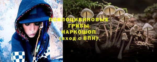 круглые Дмитриев
