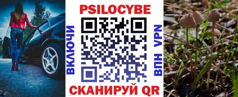 Галлюциногенные грибы мухоморы  Купить  Камбарка 